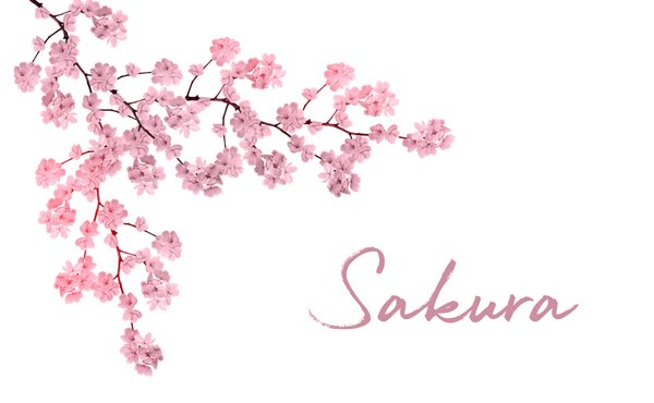Kirschblüte Windschutzscheibe Sonnenschutz niedlich, Sakura