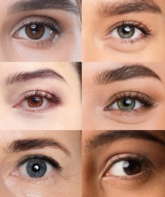 Blog Facts about eyes